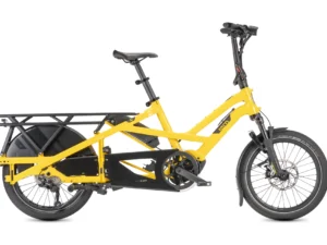 Tern GSD P10